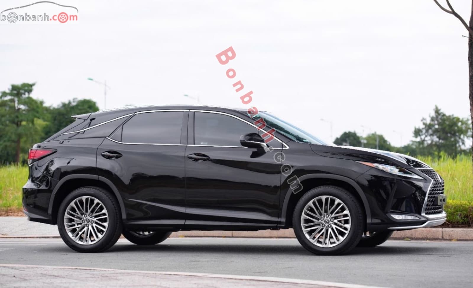 2019 Lexus RX 300 - ảnh nhỏ 4