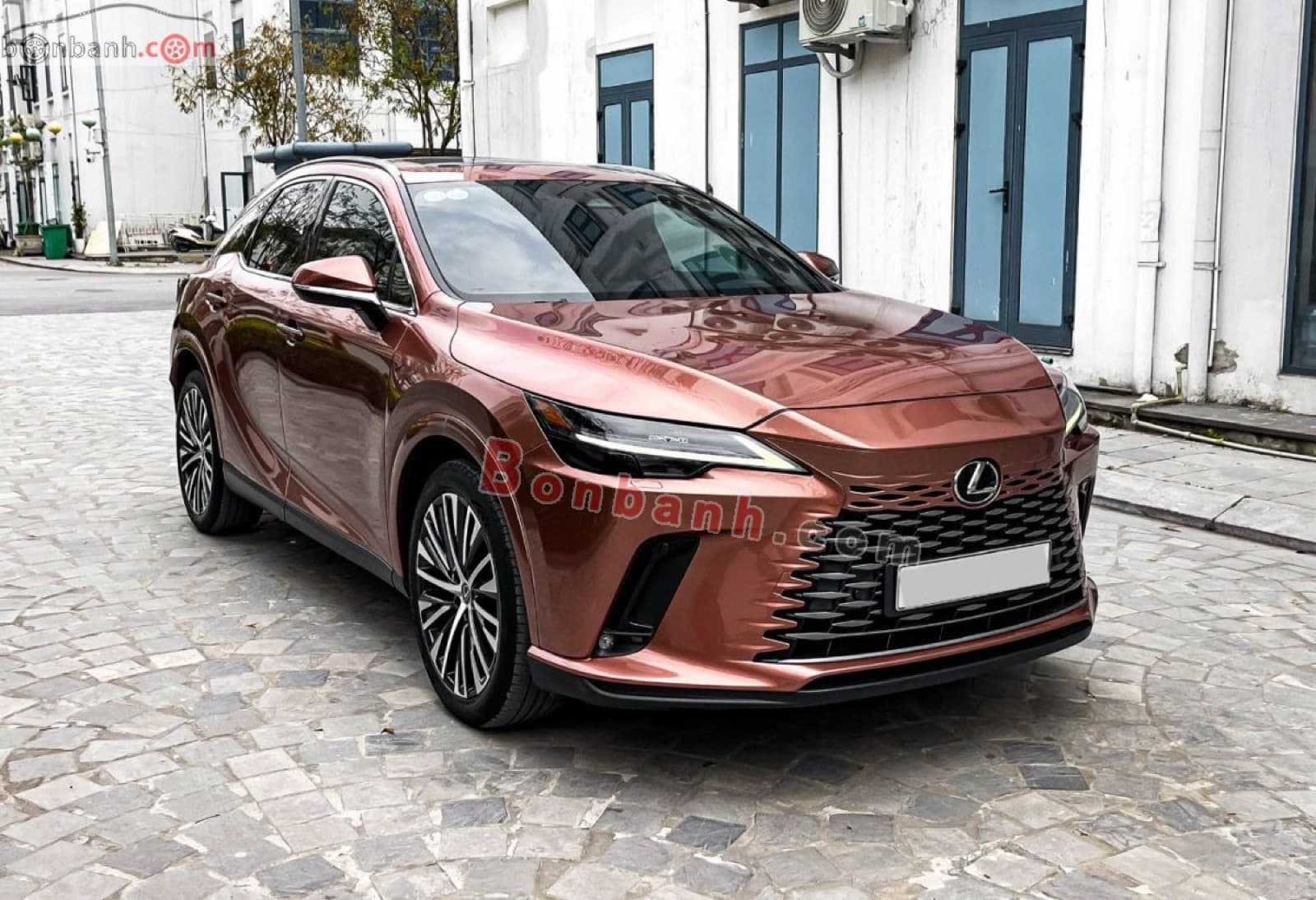2023 Lexus RX 350 Premium - ảnh nhỏ 2