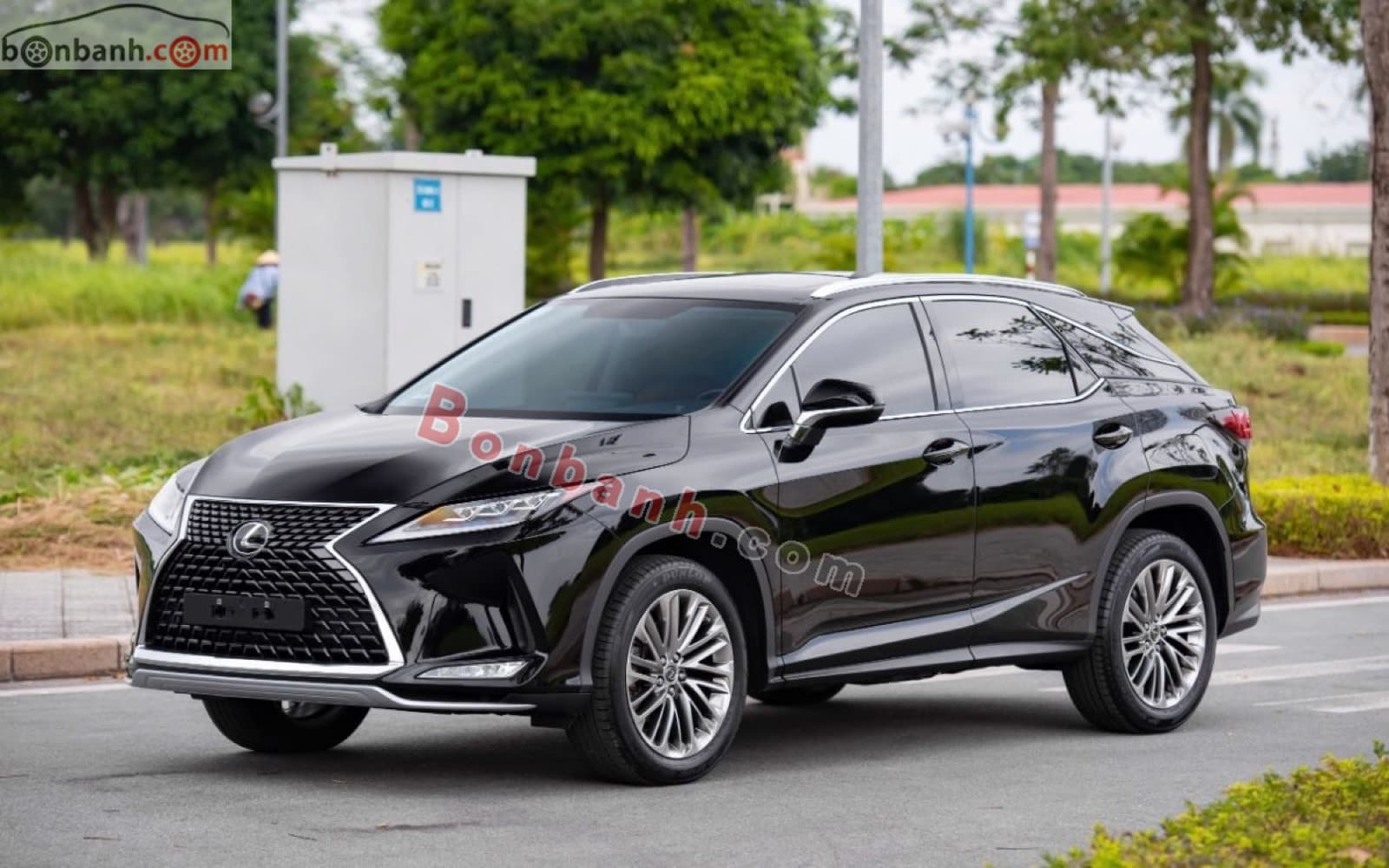 2019 Lexus RX 300