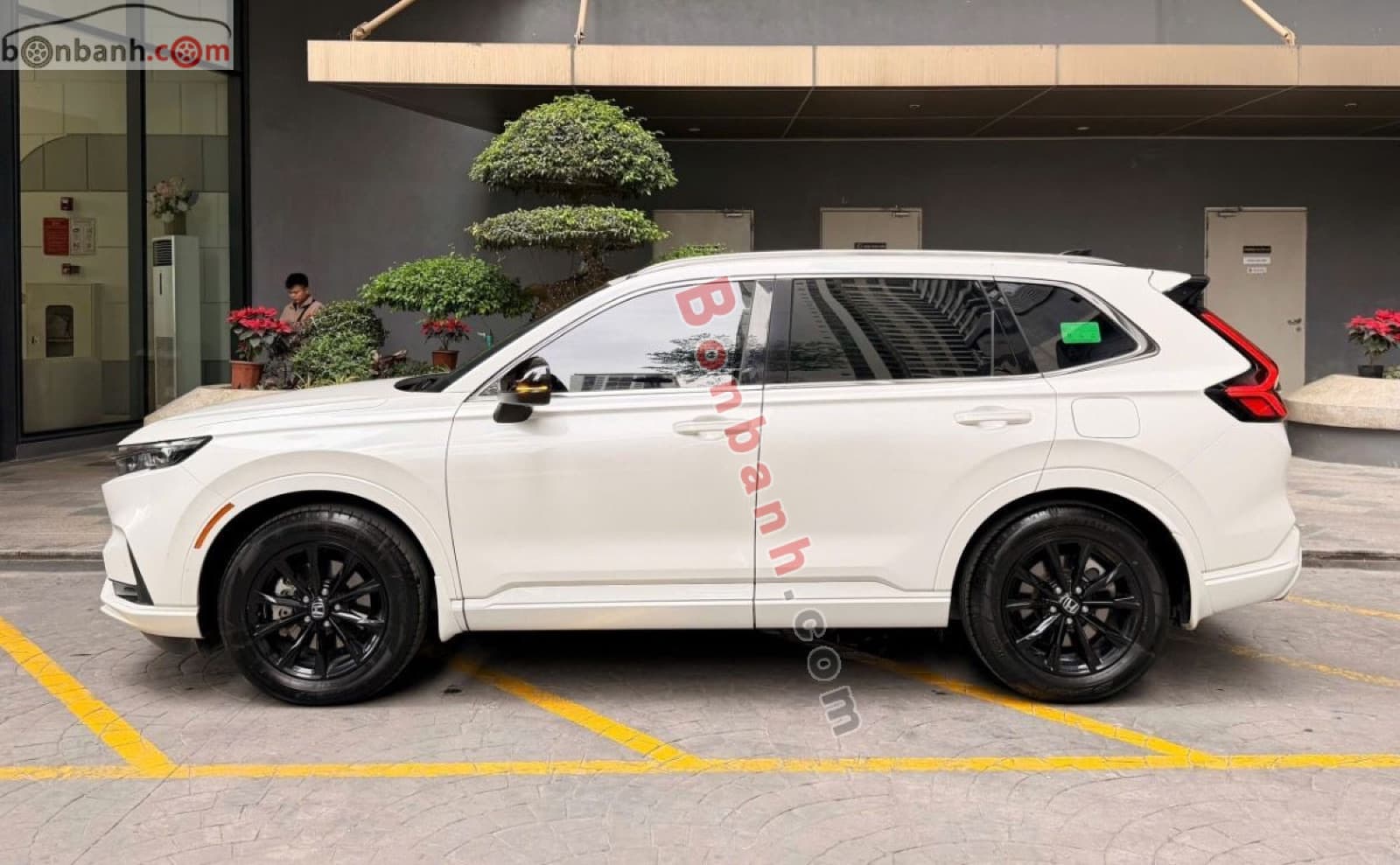 2024 Honda CRV e:HEV RS