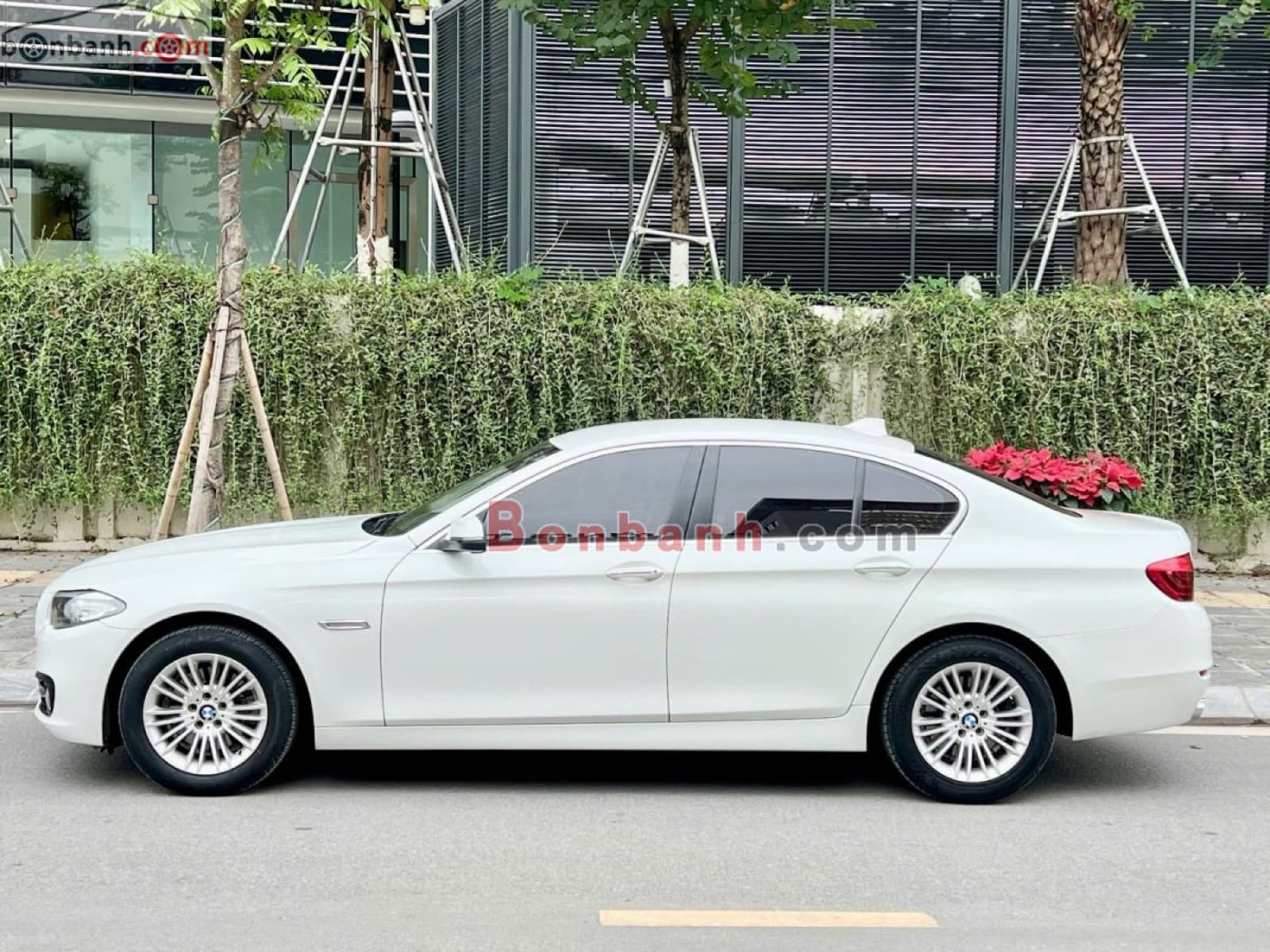 2015 BMW 5 Series 520i - ảnh nhỏ 3