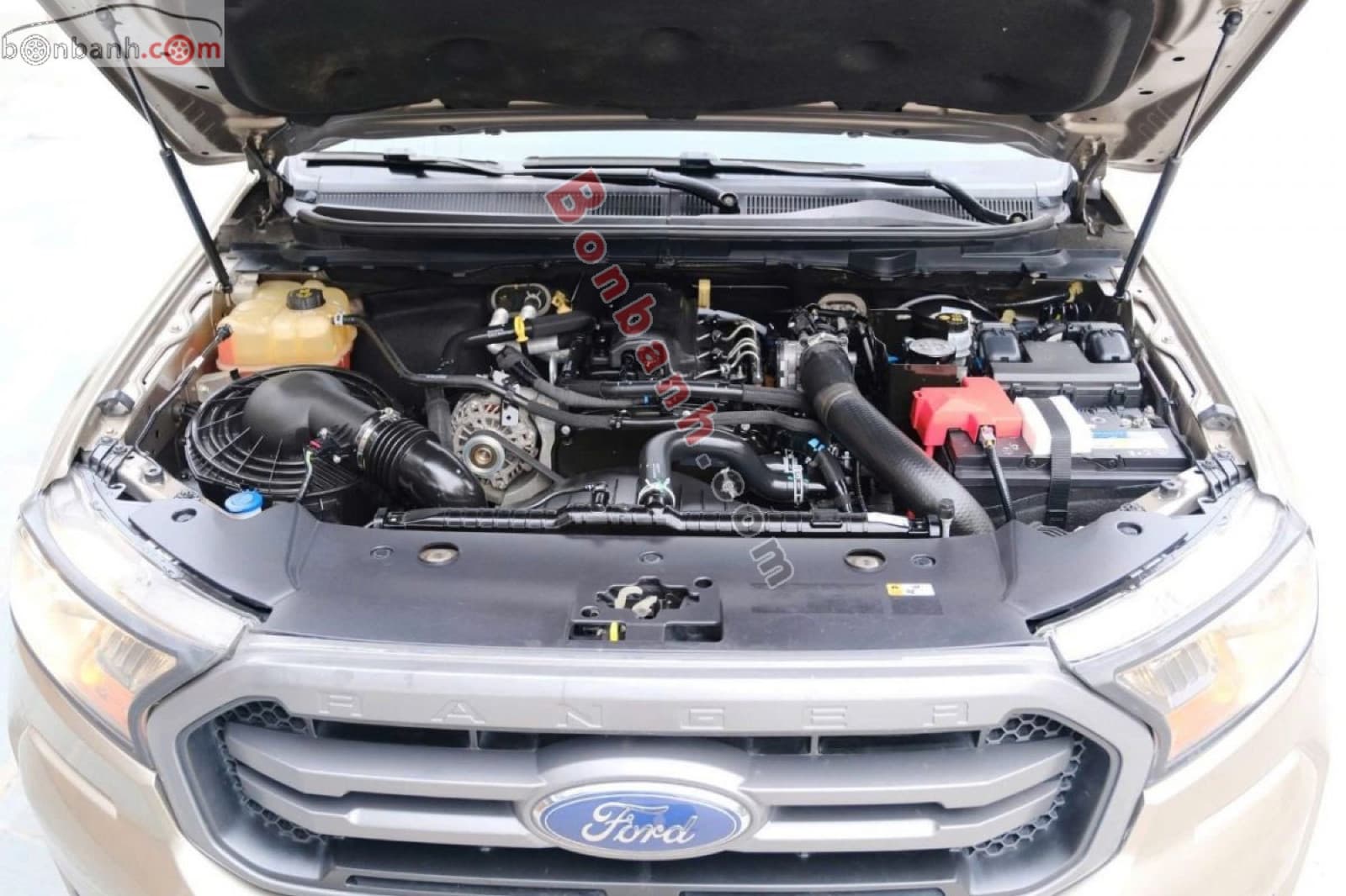 2020 Ford Ranger XLS 2.2L 4x2 AT - ảnh nhỏ 10