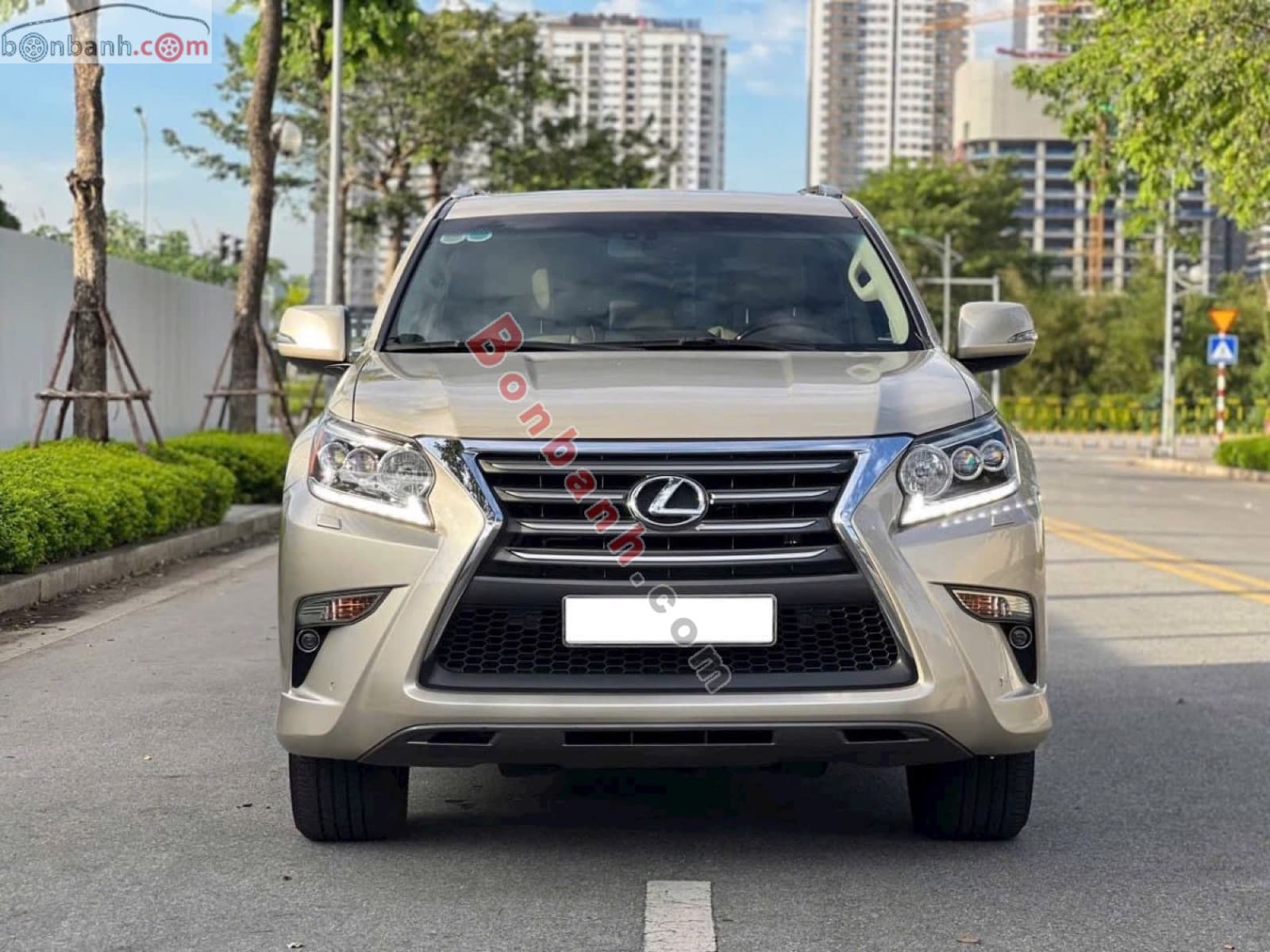 2015 Lexus GX 460