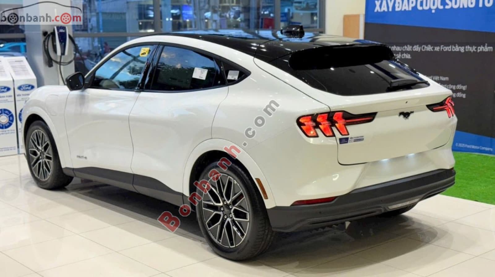 2025 Ford Mustang Mach-E Premium AWD - ảnh nhỏ 2