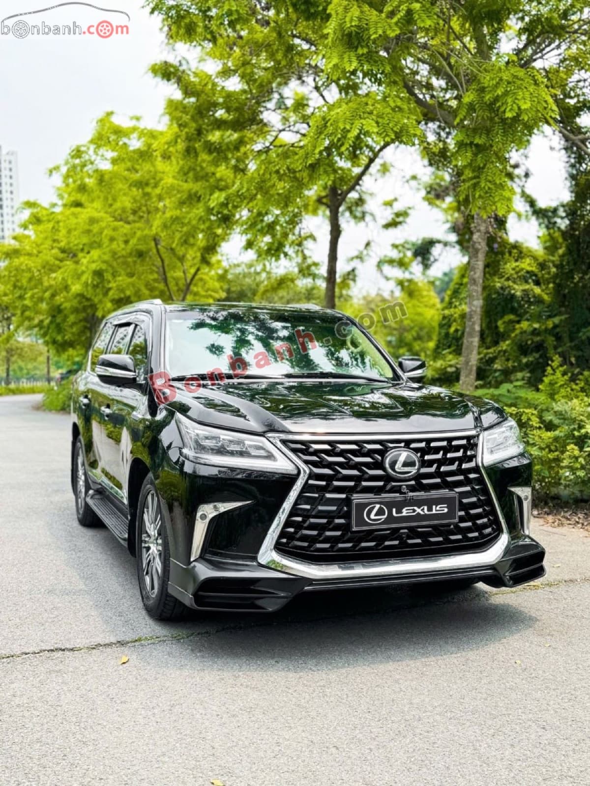 2013 Lexus LX 570