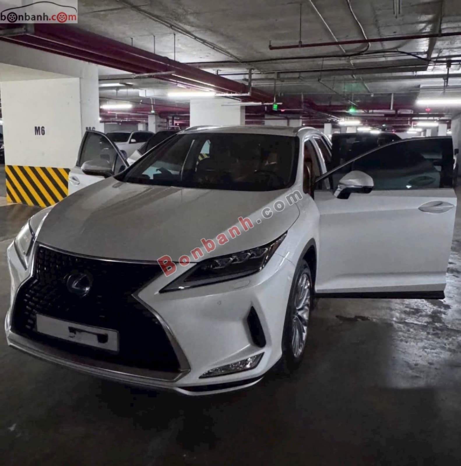2019 Lexus RX 450h