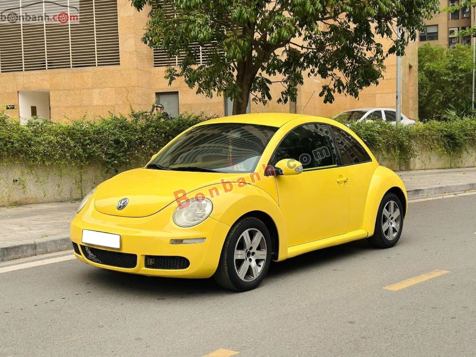 2009 Volkswagen New Beetle 1.6 AT - ảnh nhỏ 2