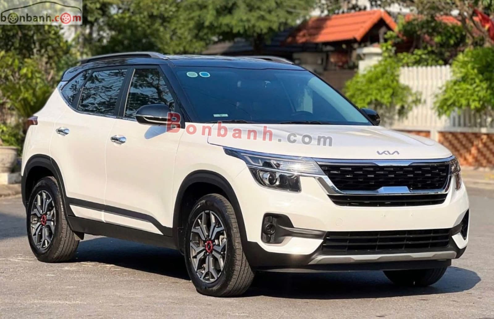 2022 Kia Seltos Luxury 1.4 AT - ảnh nhỏ 2