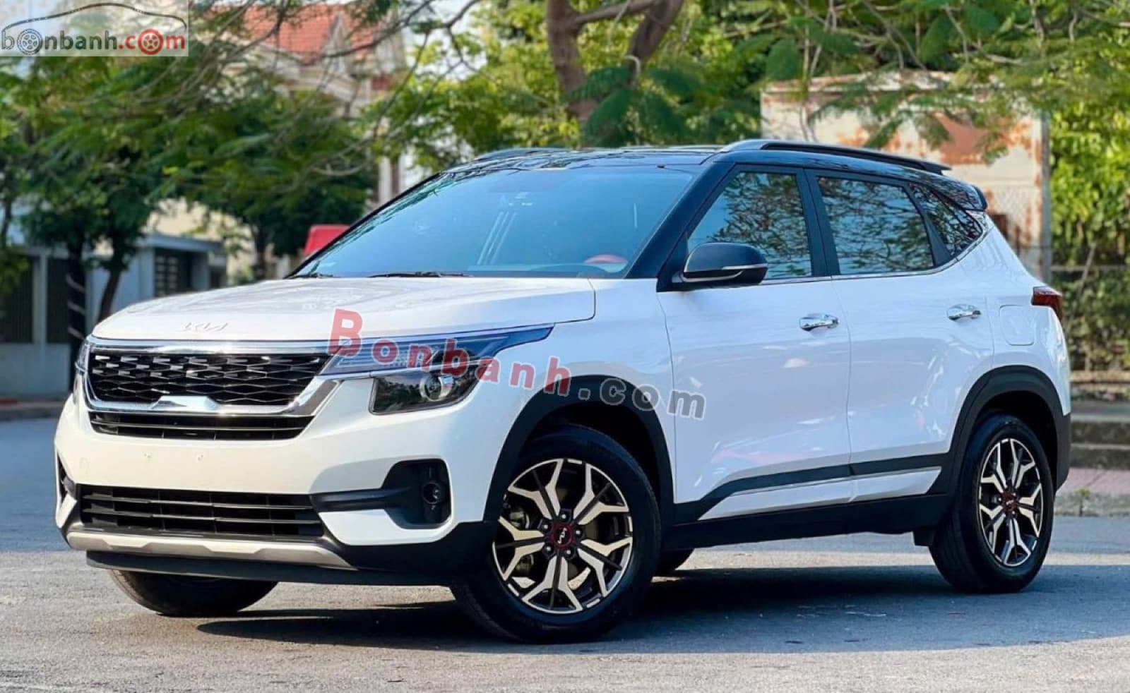 2022 Kia Seltos Luxury 1.4 AT - ảnh nhỏ 3