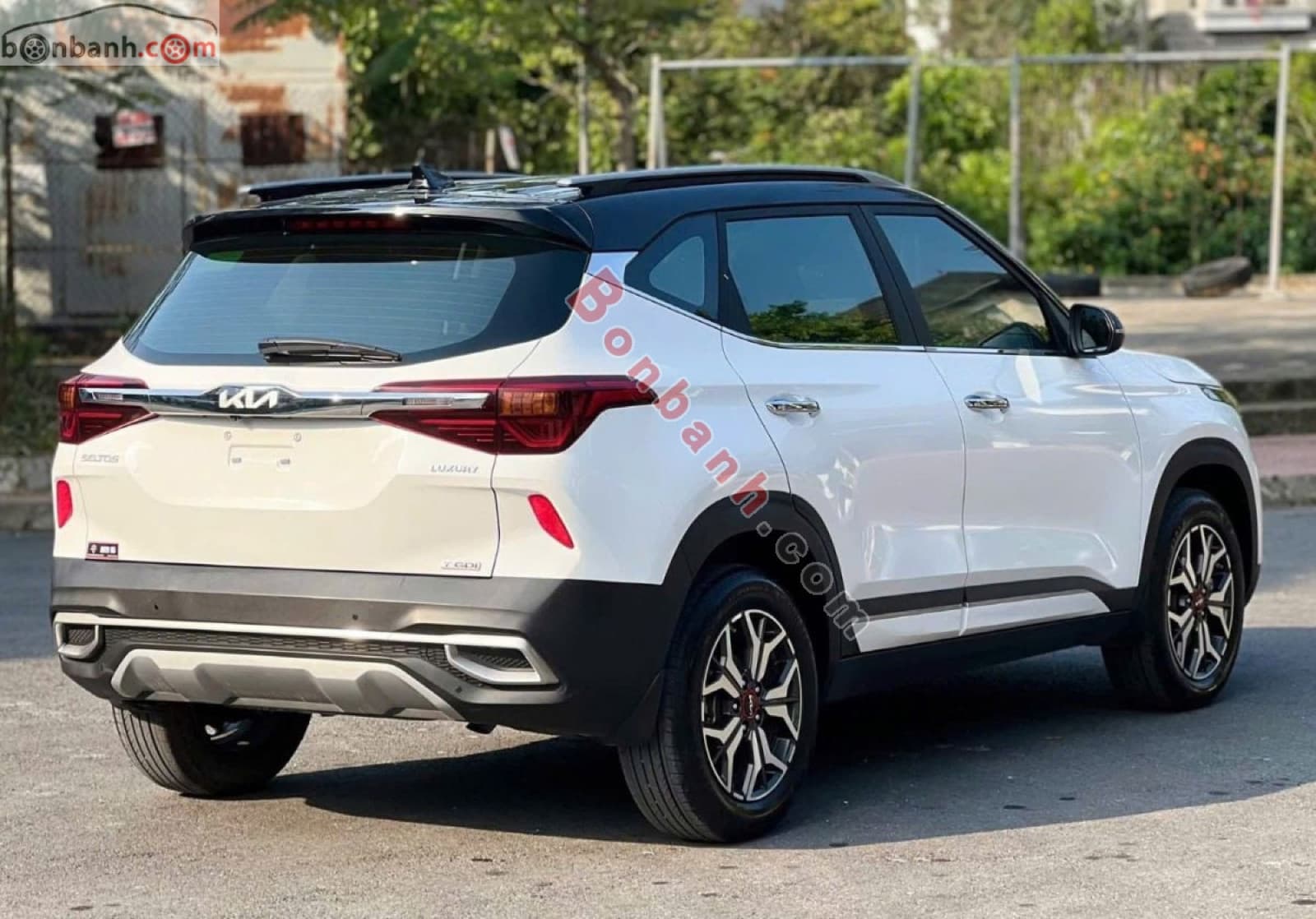 2022 Kia Seltos Luxury 1.4 AT - ảnh nhỏ 5