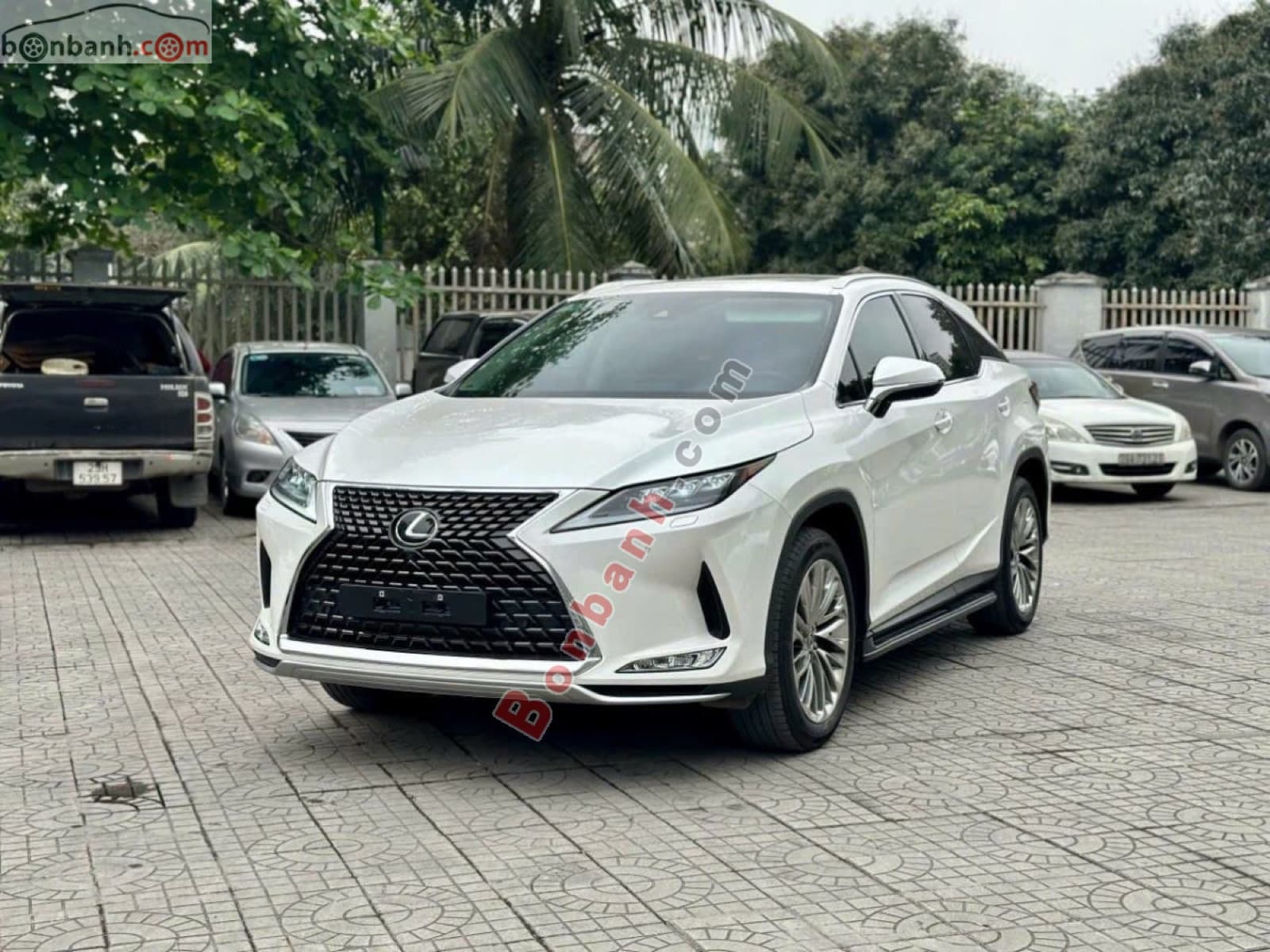 2021 Lexus RX 350 - ảnh nhỏ 2