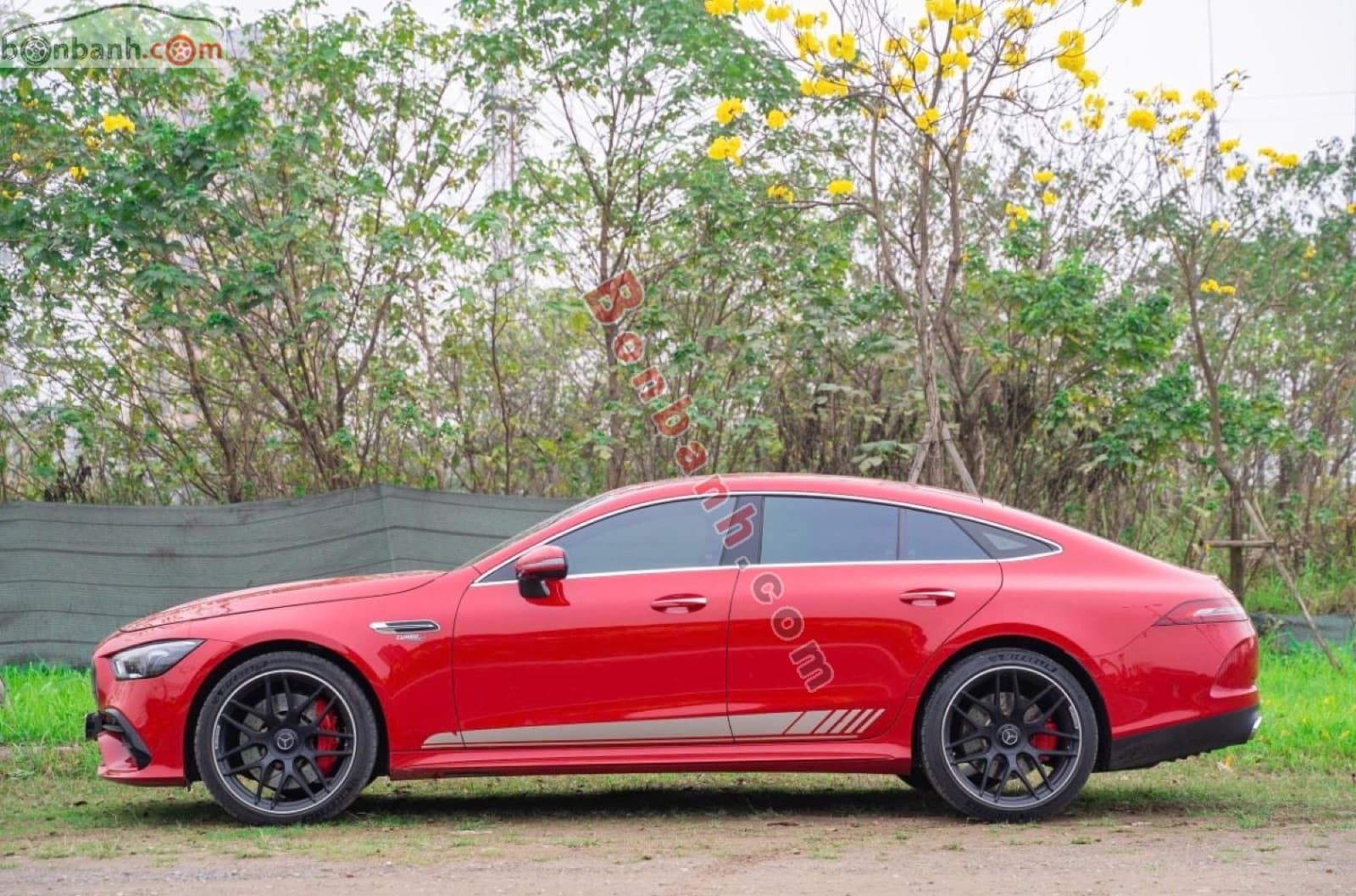 2022 Mercedes-Benz AMG GT 53 4Matic - ảnh nhỏ 3