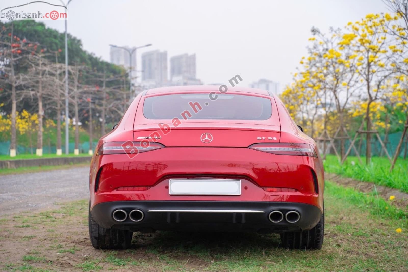 2022 Mercedes-Benz AMG GT 53 4Matic - ảnh nhỏ 4
