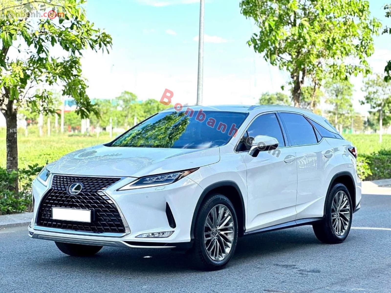 2020 Lexus RX 300