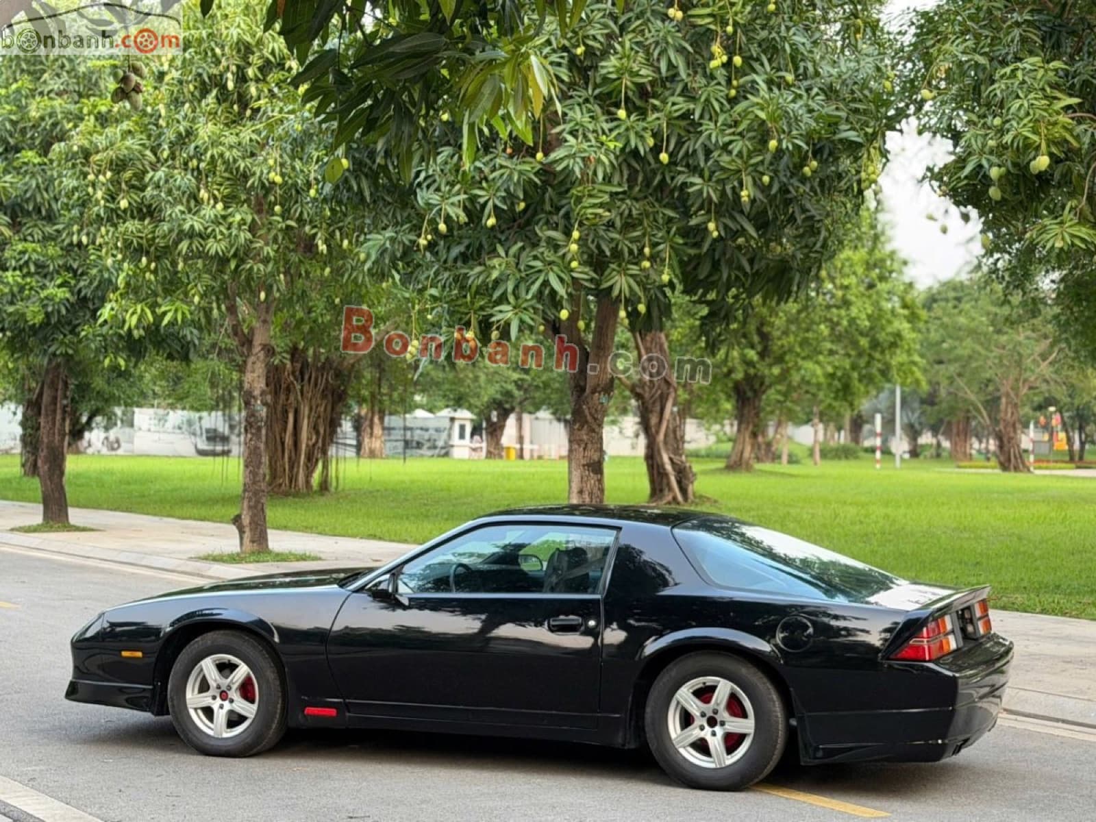 1989 Chevrolet Camaro RS 2.8 V6 MT Trước - ảnh nhỏ 6
