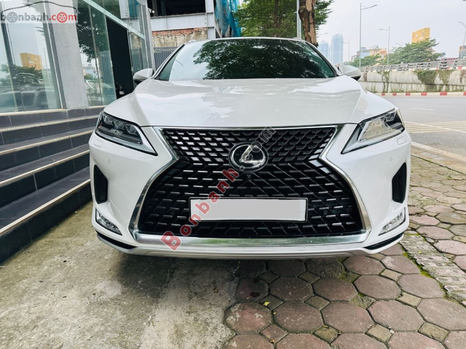 2021 Lexus RX 300 - ảnh nhỏ 2