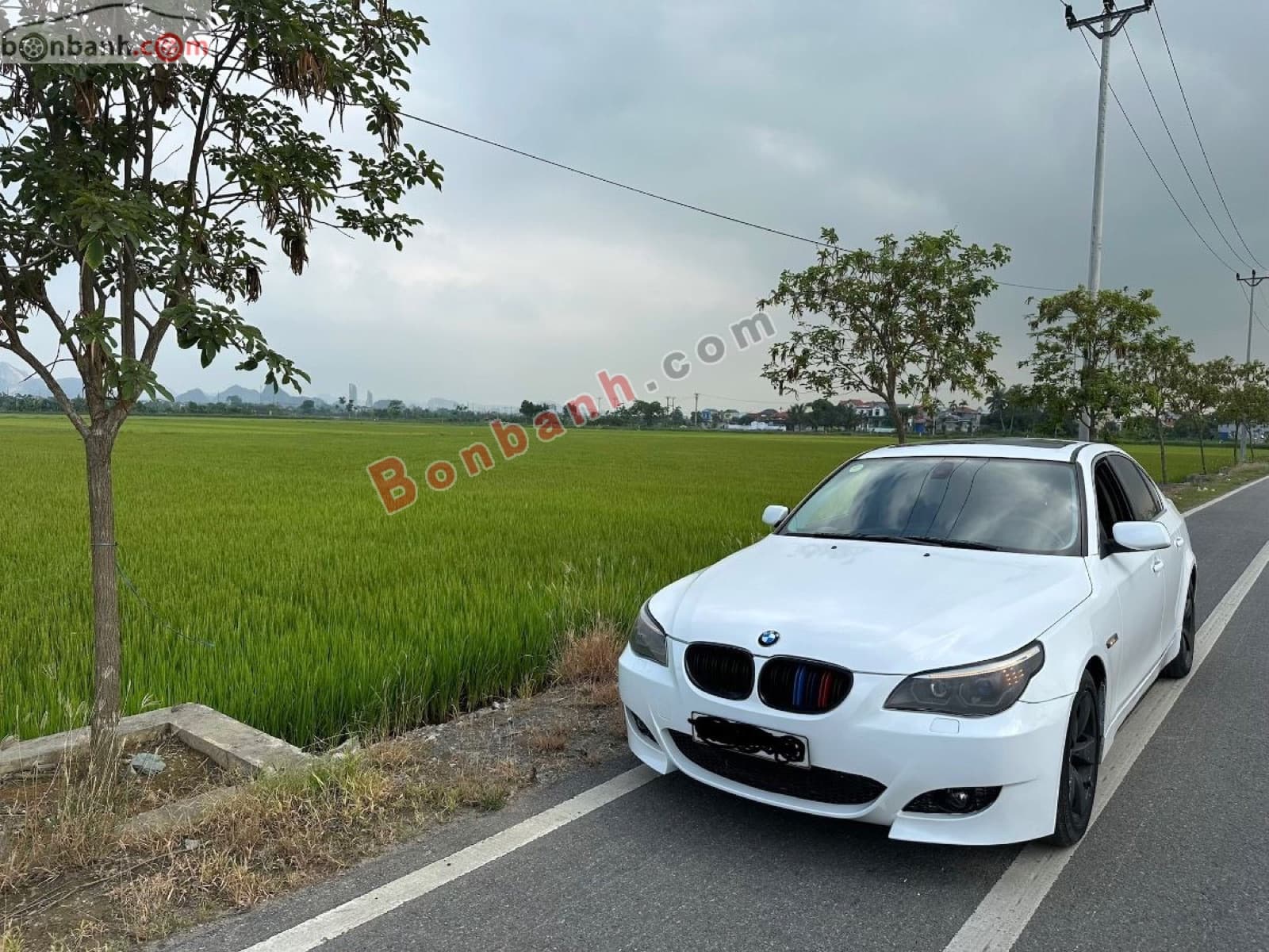 2003 BMW 5 Series 525i