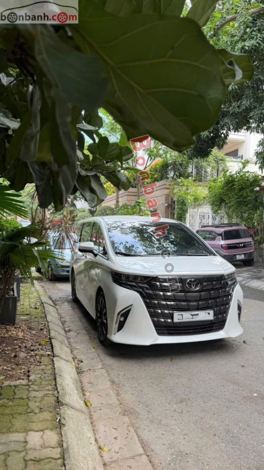 2025 Toyota Alphard 2.4 AT
