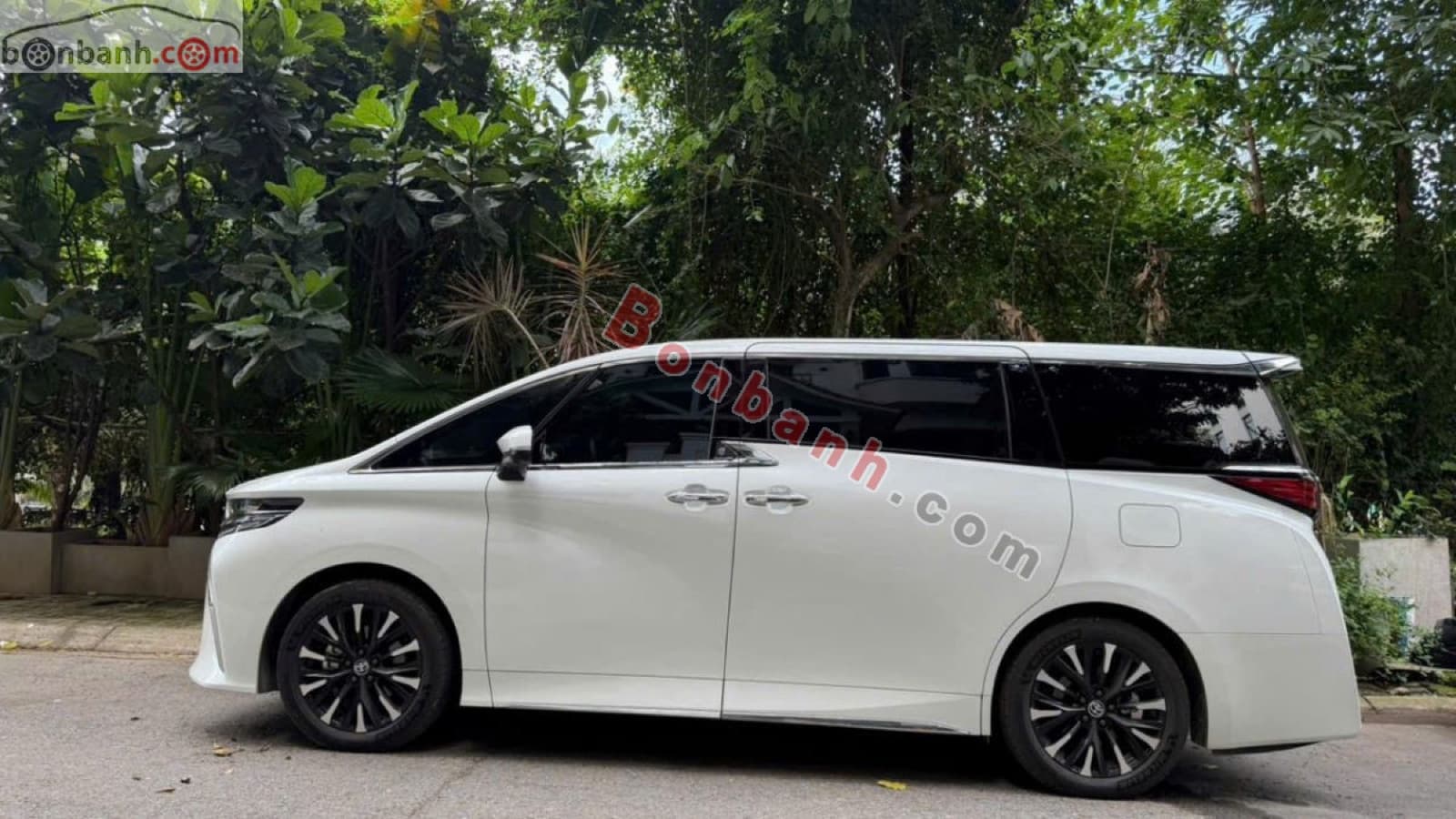 2025 Toyota Alphard 2.4 AT - ảnh nhỏ 2