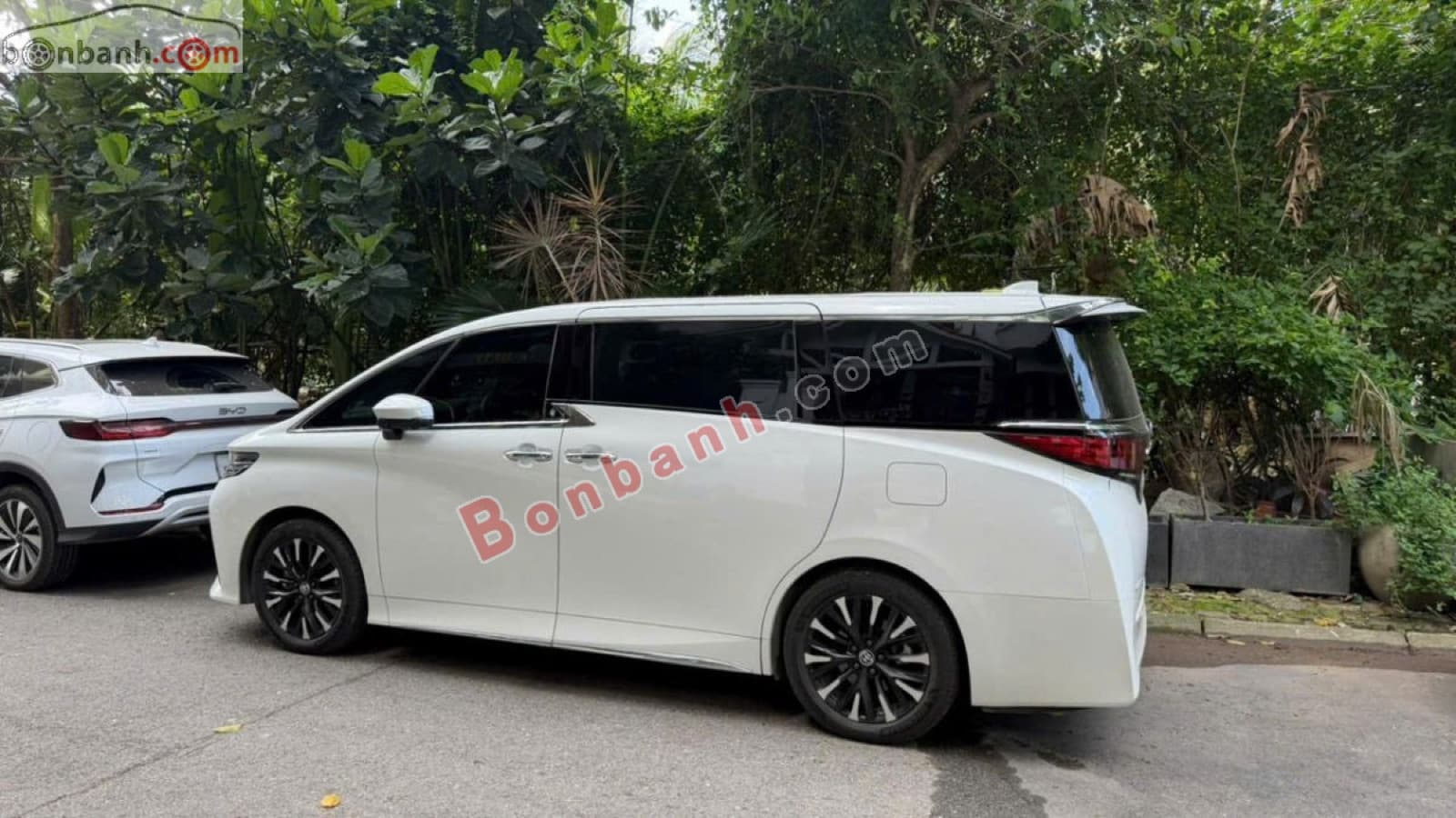 2025 Toyota Alphard 2.4 AT - ảnh nhỏ 3