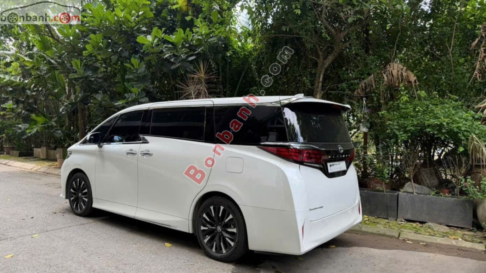 2025 Toyota Alphard 2.4 AT - ảnh nhỏ 4