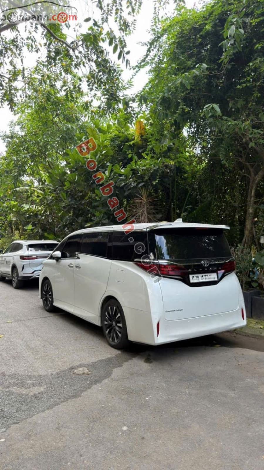 2025 Toyota Alphard 2.4 AT - ảnh nhỏ 5