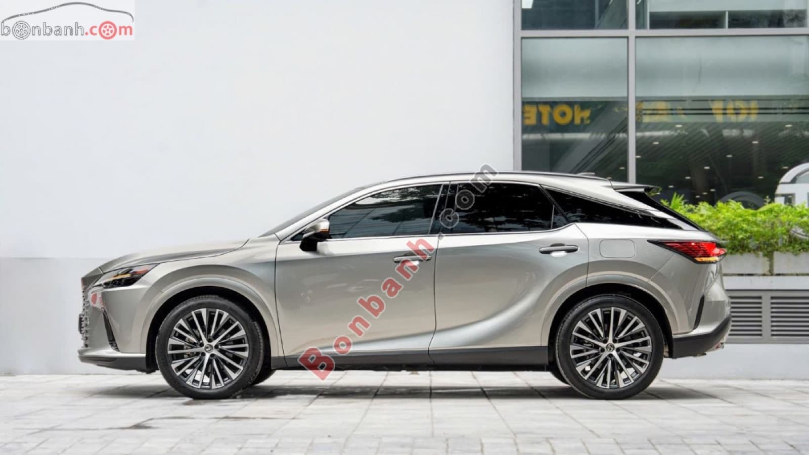 2024 Lexus RX 350 Premium - ảnh nhỏ 3