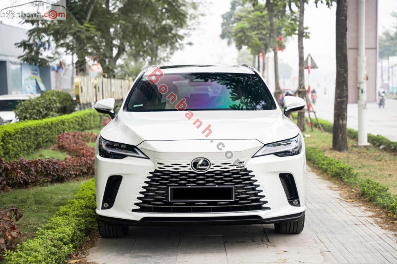2024 Lexus RX 350 Premium - ảnh nhỏ 2