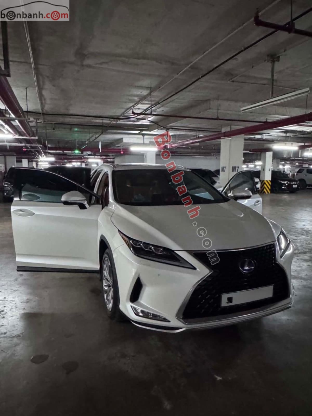 2019 Lexus RX 450h