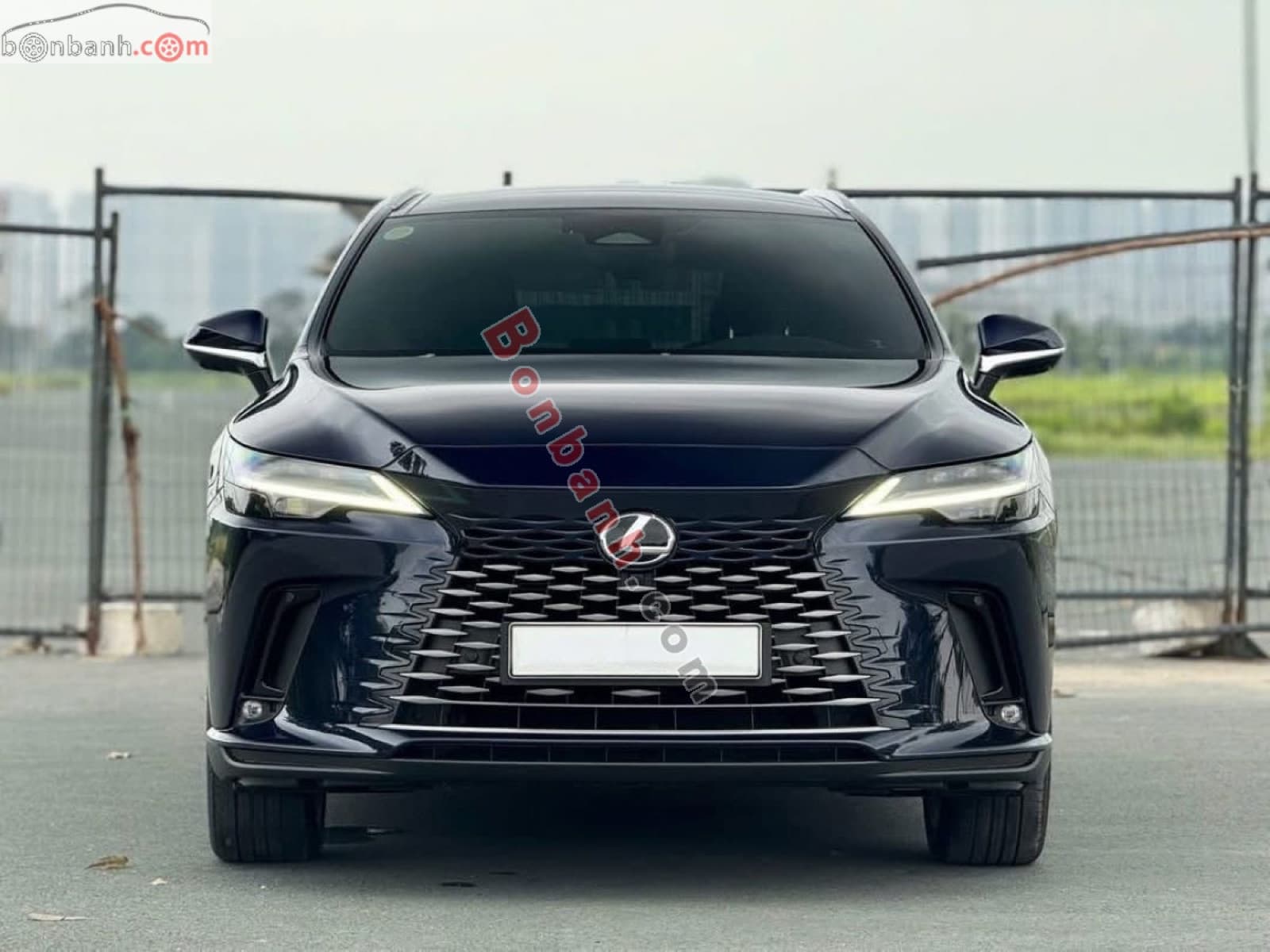 2025 Lexus RX 350 Luxury