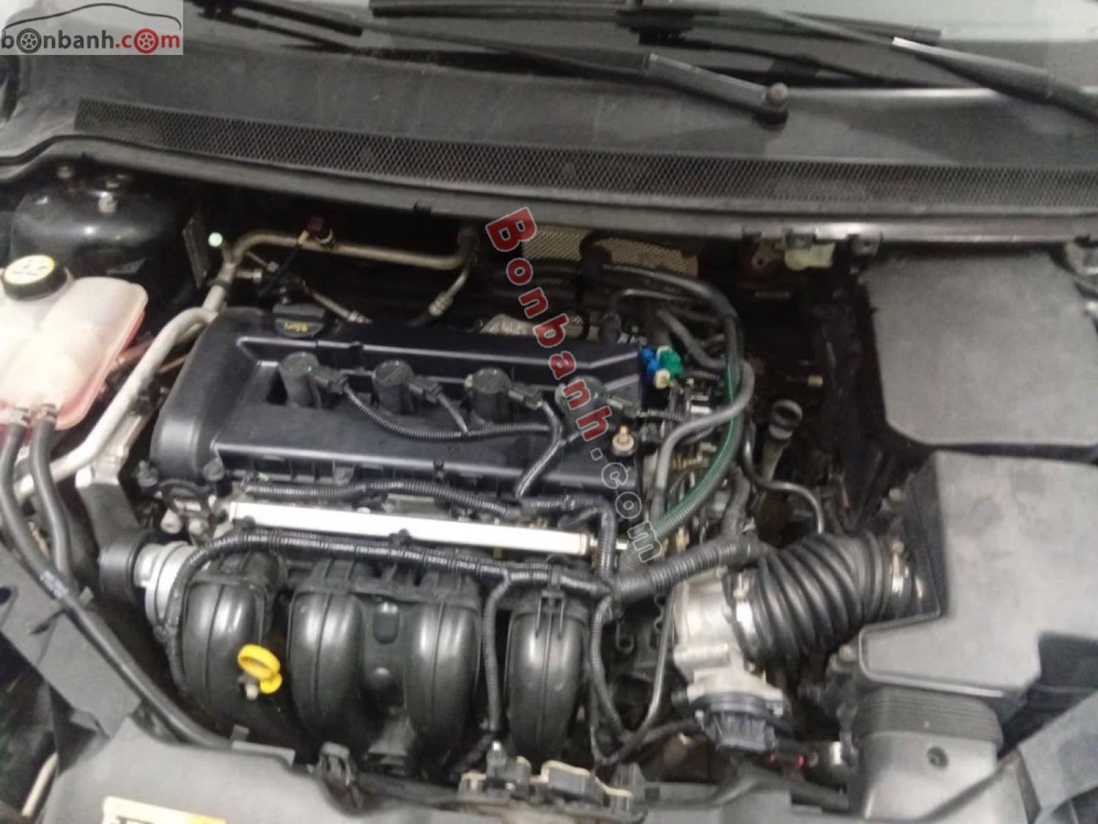 2011 Ford Focus 1.8 AT - ảnh nhỏ 10