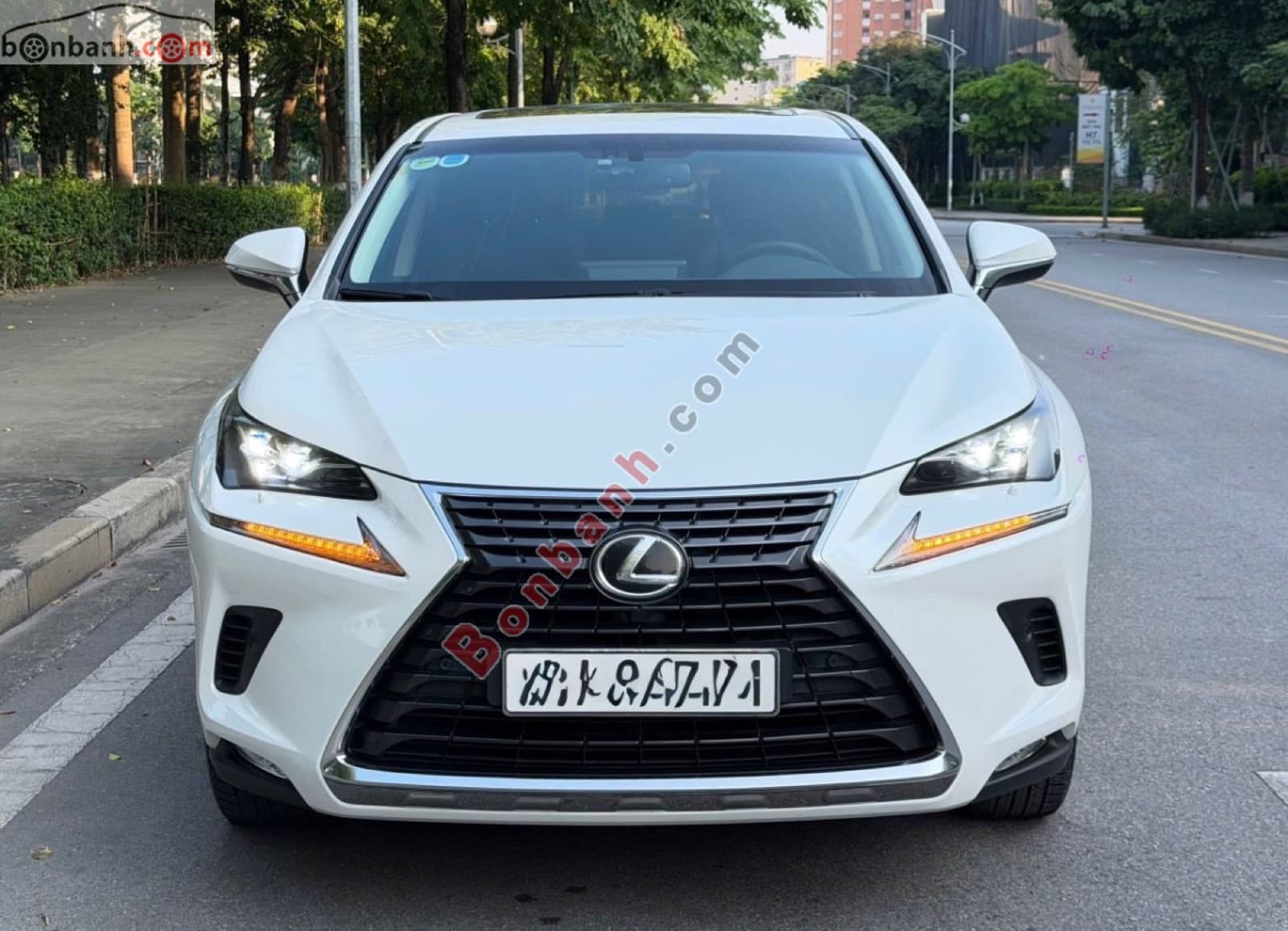 2018 Lexus NX 300