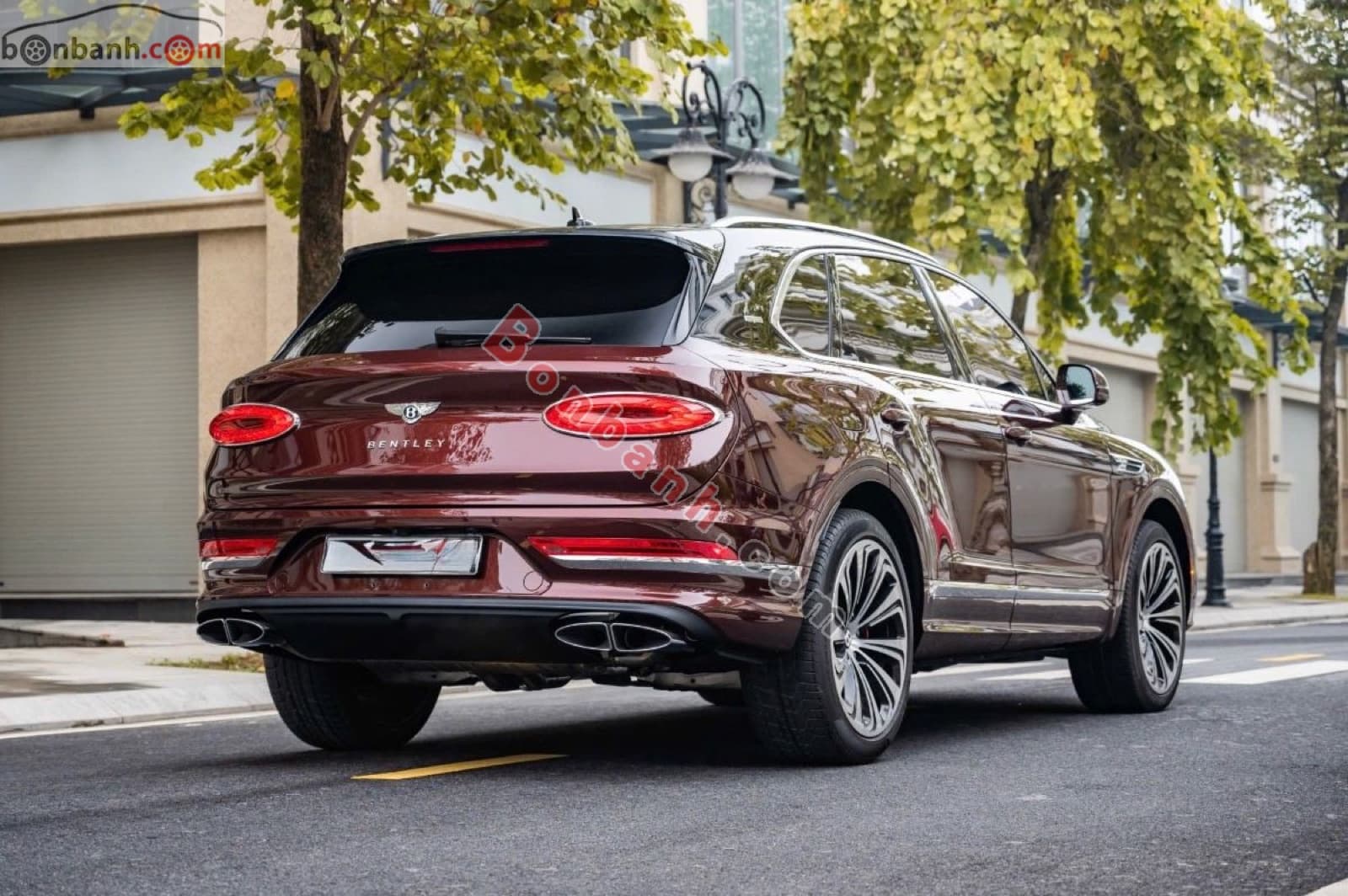 2021 Bentley Bentayga First Edition 4.0 V8 - ảnh nhỏ 6