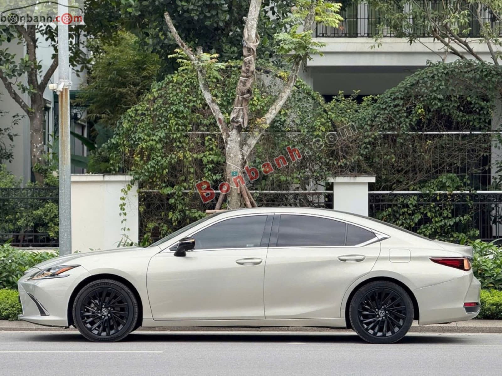 2018 Lexus ES 250 - ảnh nhỏ 2