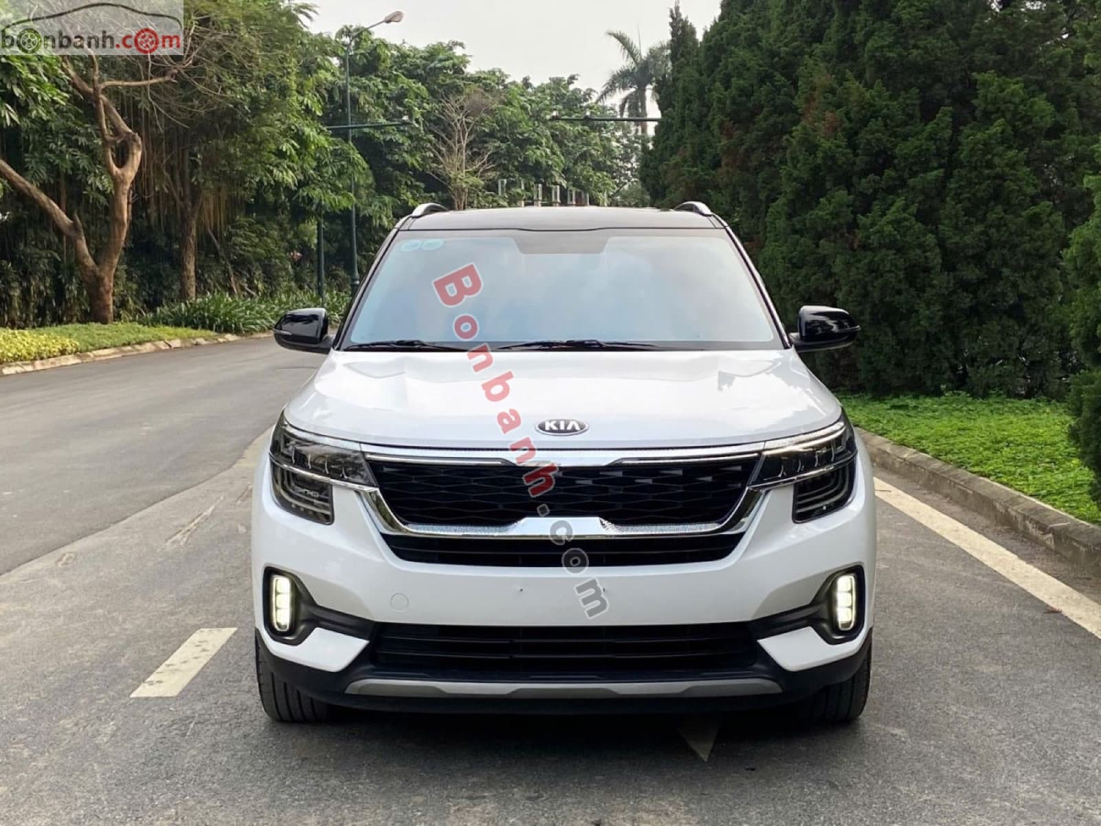 2021 Kia Seltos Premium 1.4 AT - ảnh nhỏ 2
