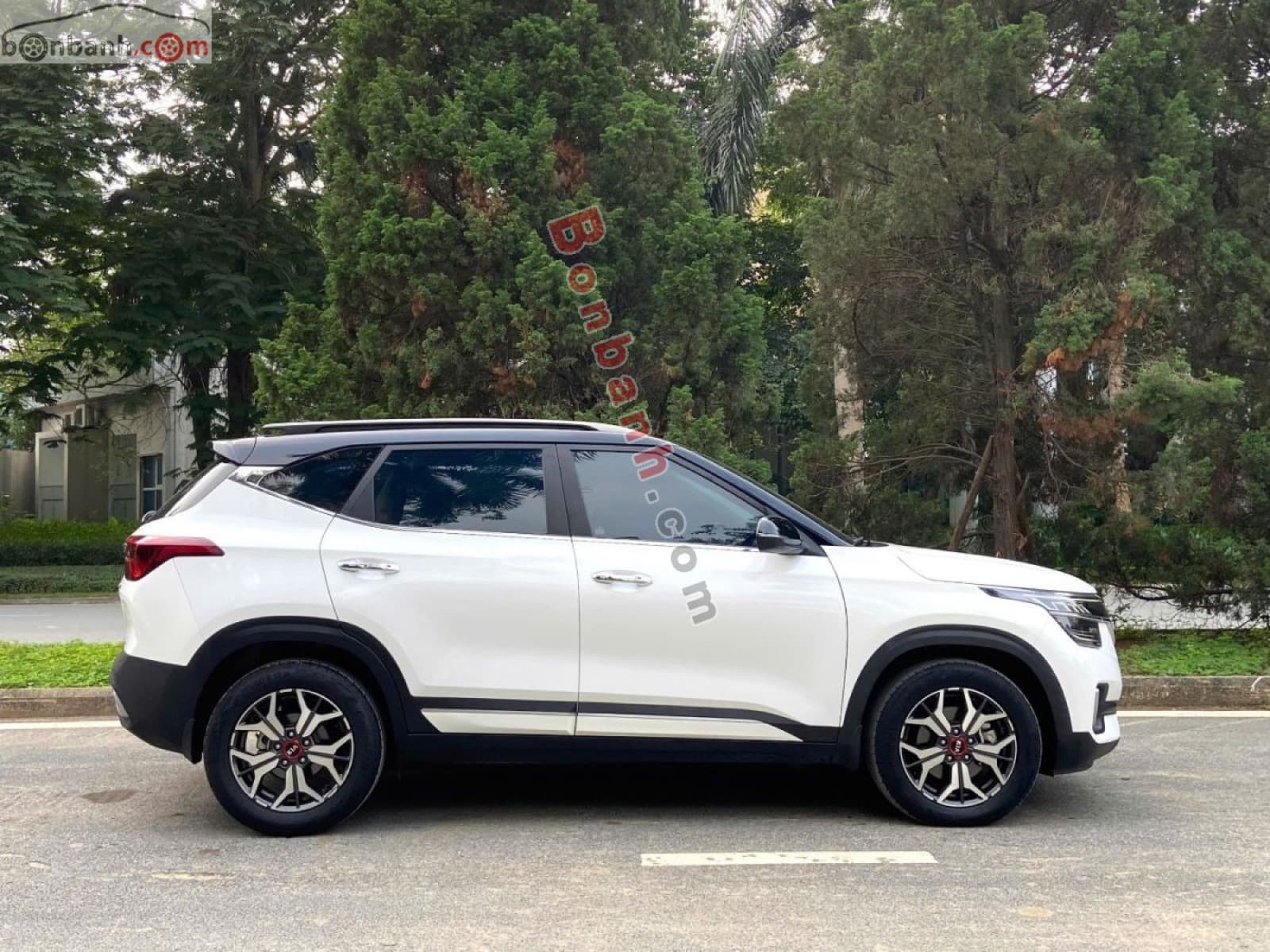 2021 Kia Seltos Premium 1.4 AT - ảnh nhỏ 3