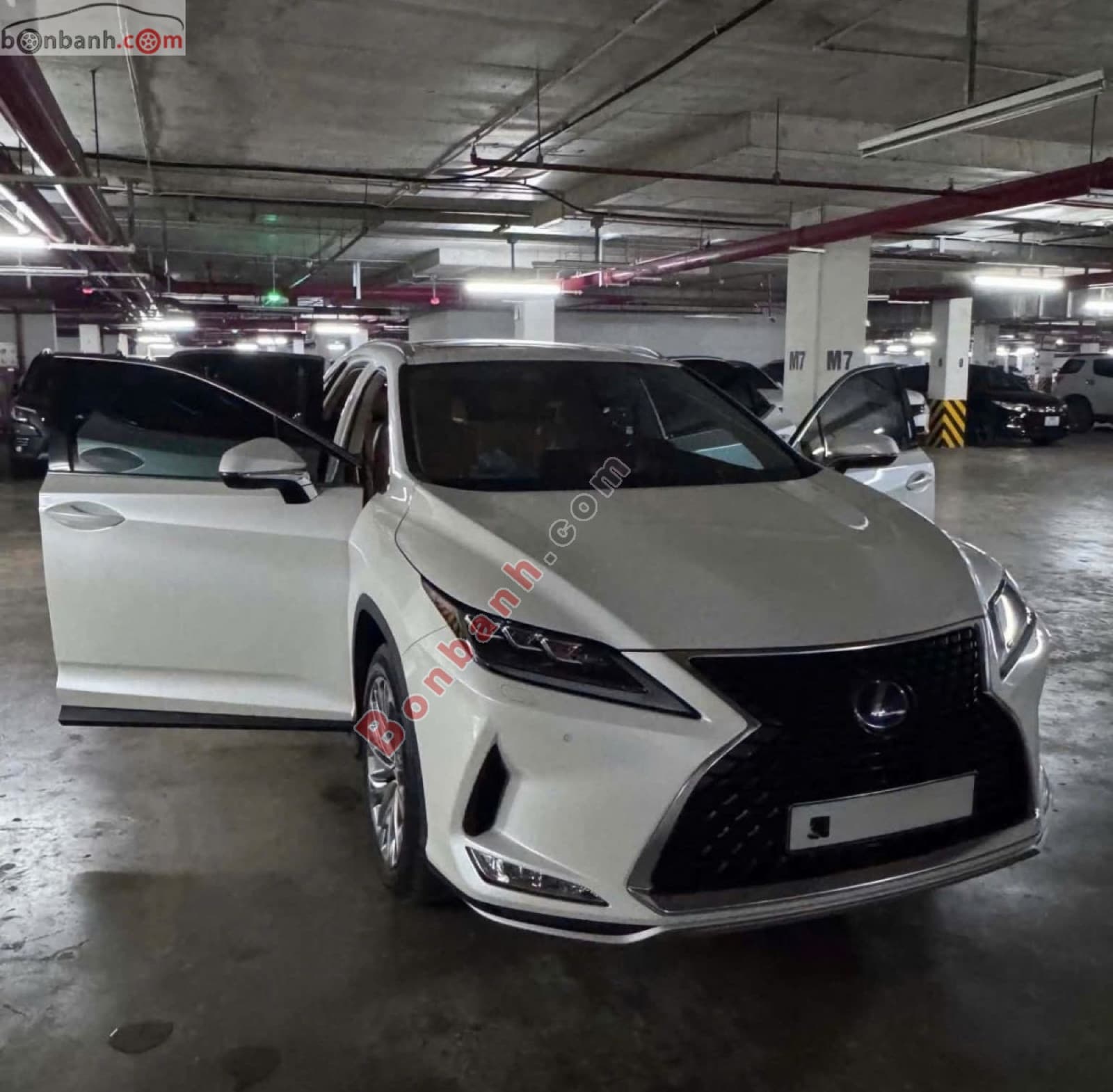 2019 Lexus RX 450h