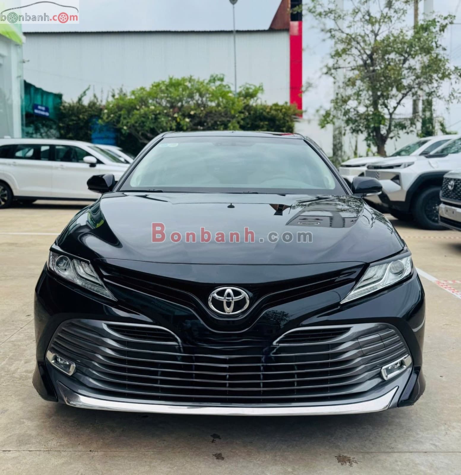 2020 Toyota Camry 2.5Q - ảnh nhỏ 5
