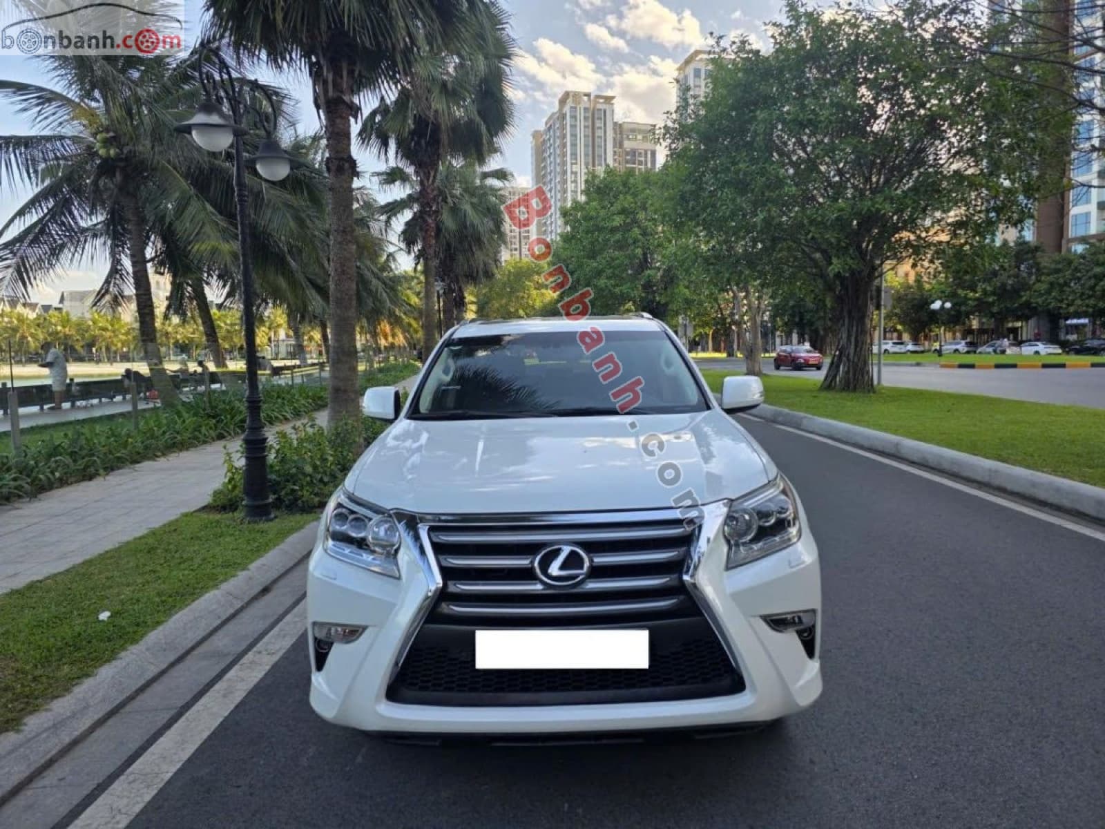 2015 Lexus GX 460