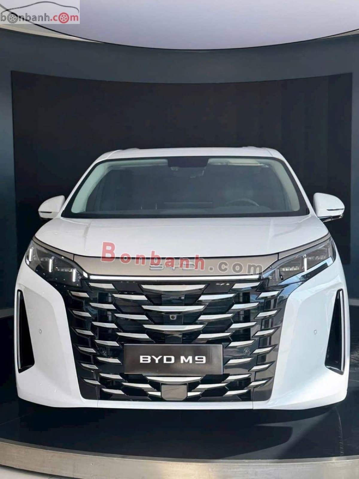 2026 BYD M9 Premium