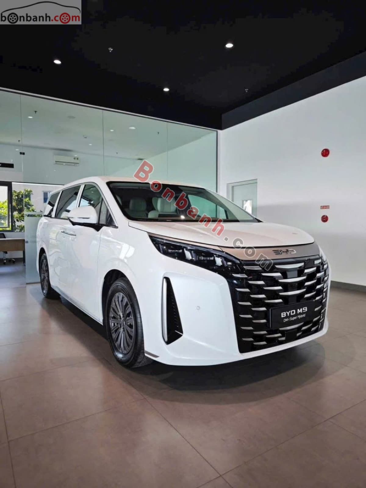 2026 BYD M9 Premium - ảnh nhỏ 2