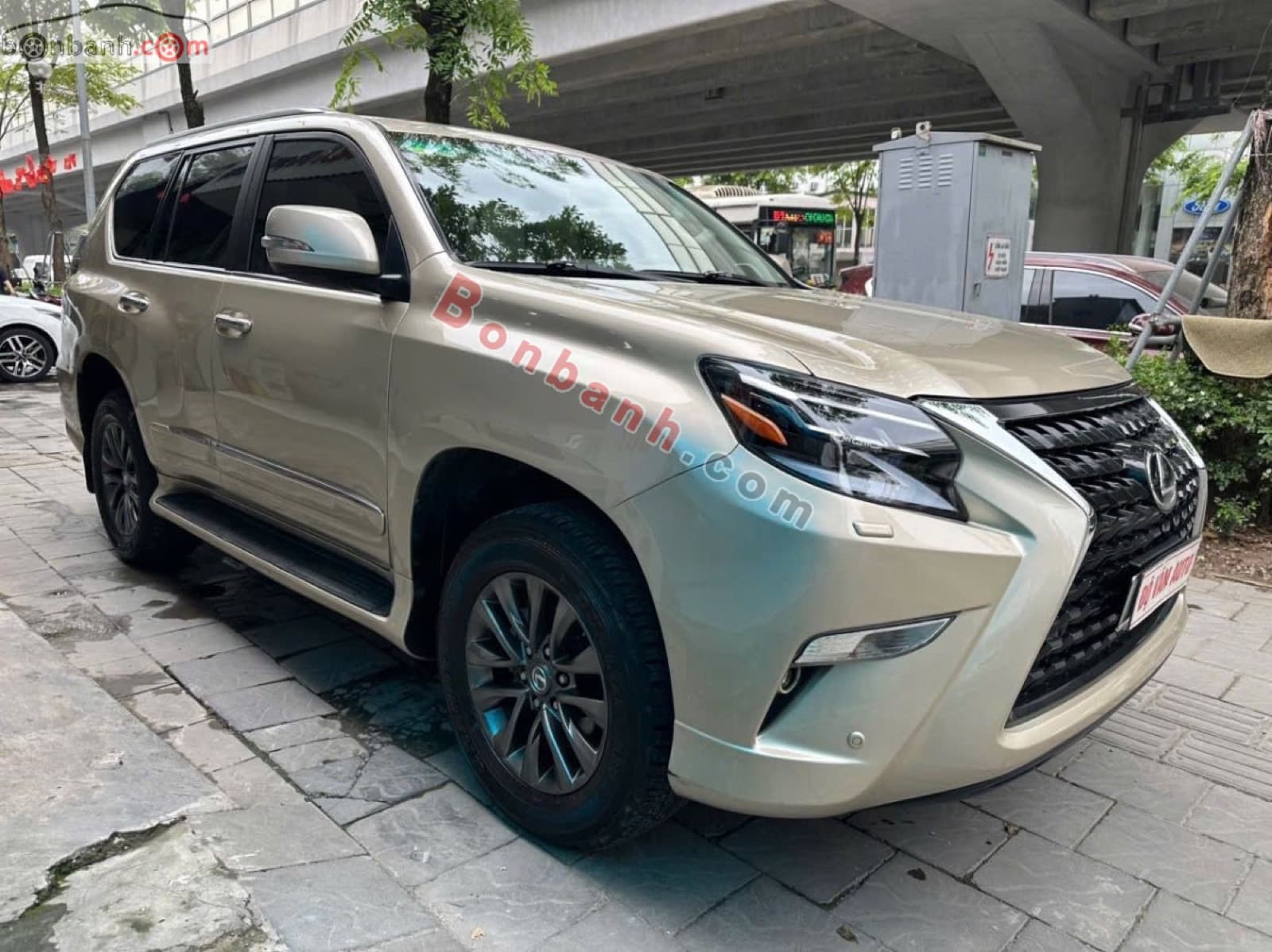 2010 Lexus GX 460 - ảnh nhỏ 2