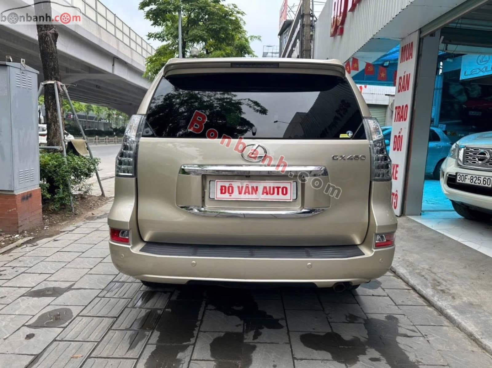 2010 Lexus GX 460 - ảnh nhỏ 3