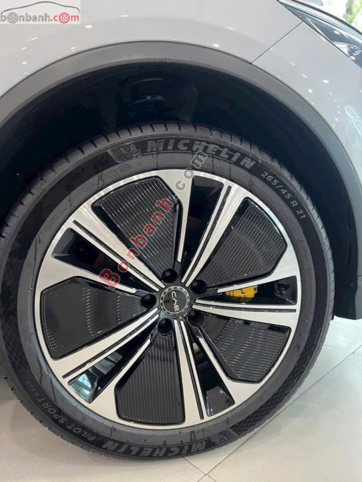 2025 BYD Sealion 8 EV - ảnh nhỏ 5