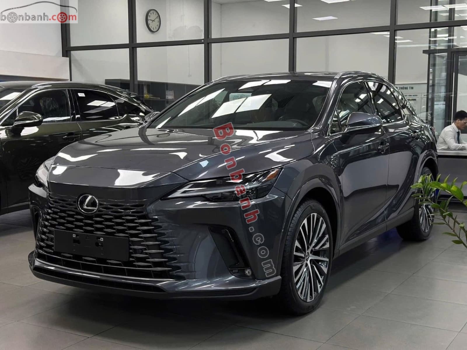 2026 Lexus RX 350h Premium - ảnh nhỏ 2