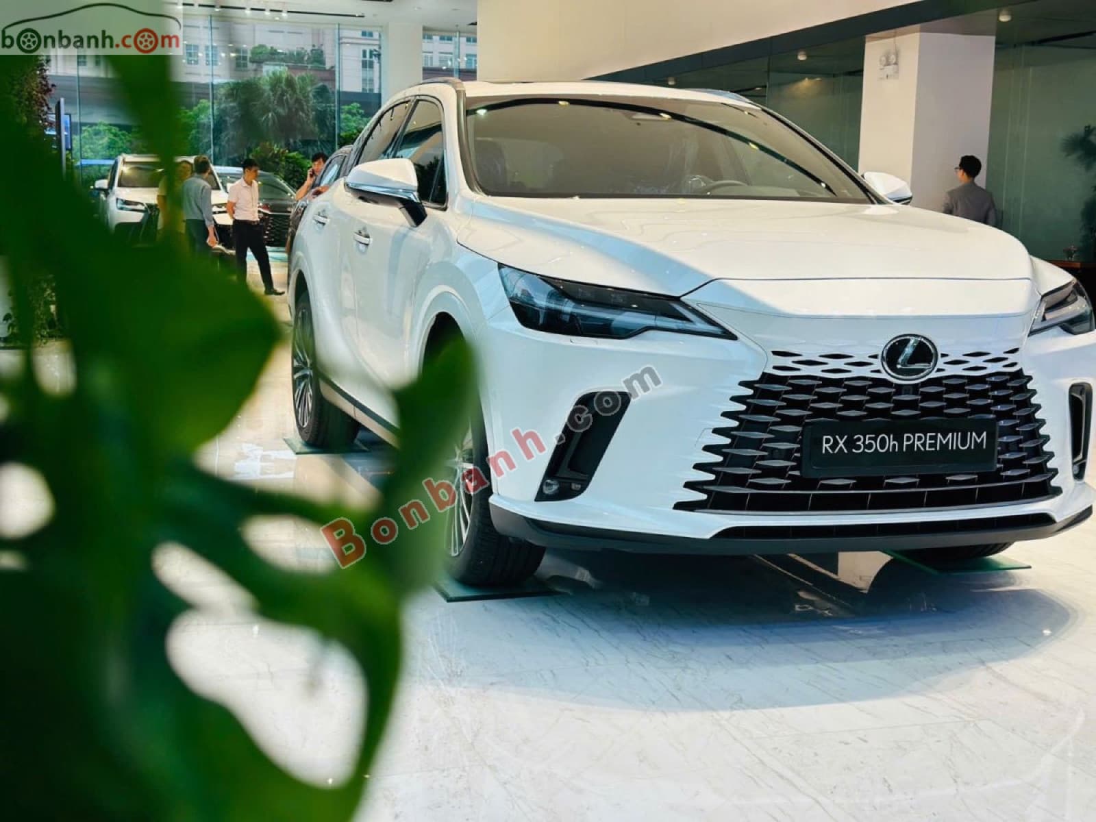 2026 Lexus RX 350h Premium