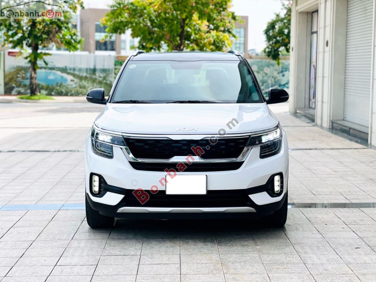 2022 Kia Seltos Premium 1.4 AT - ảnh nhỏ 2