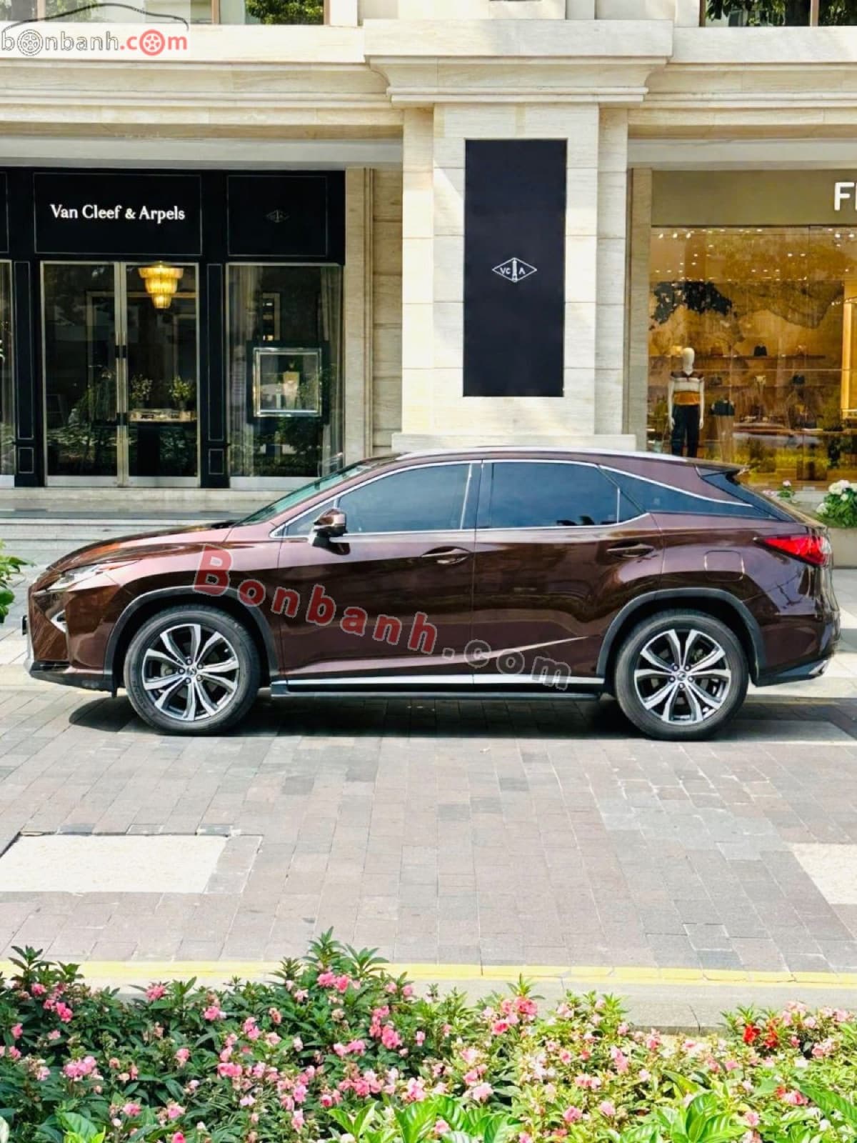 2019 Lexus RX 350 - ảnh nhỏ 3
