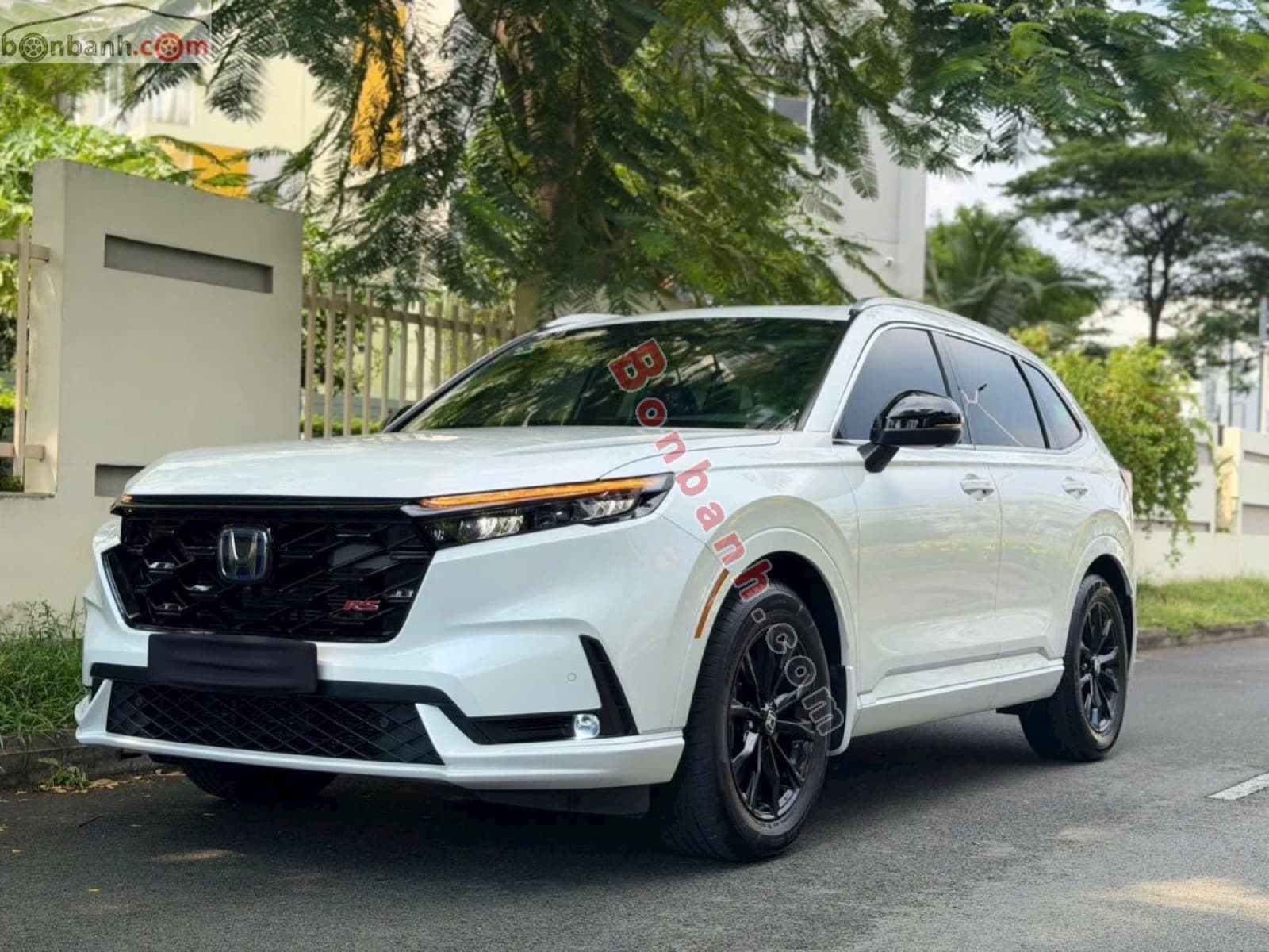 2024 Honda CRV e:HEV RS