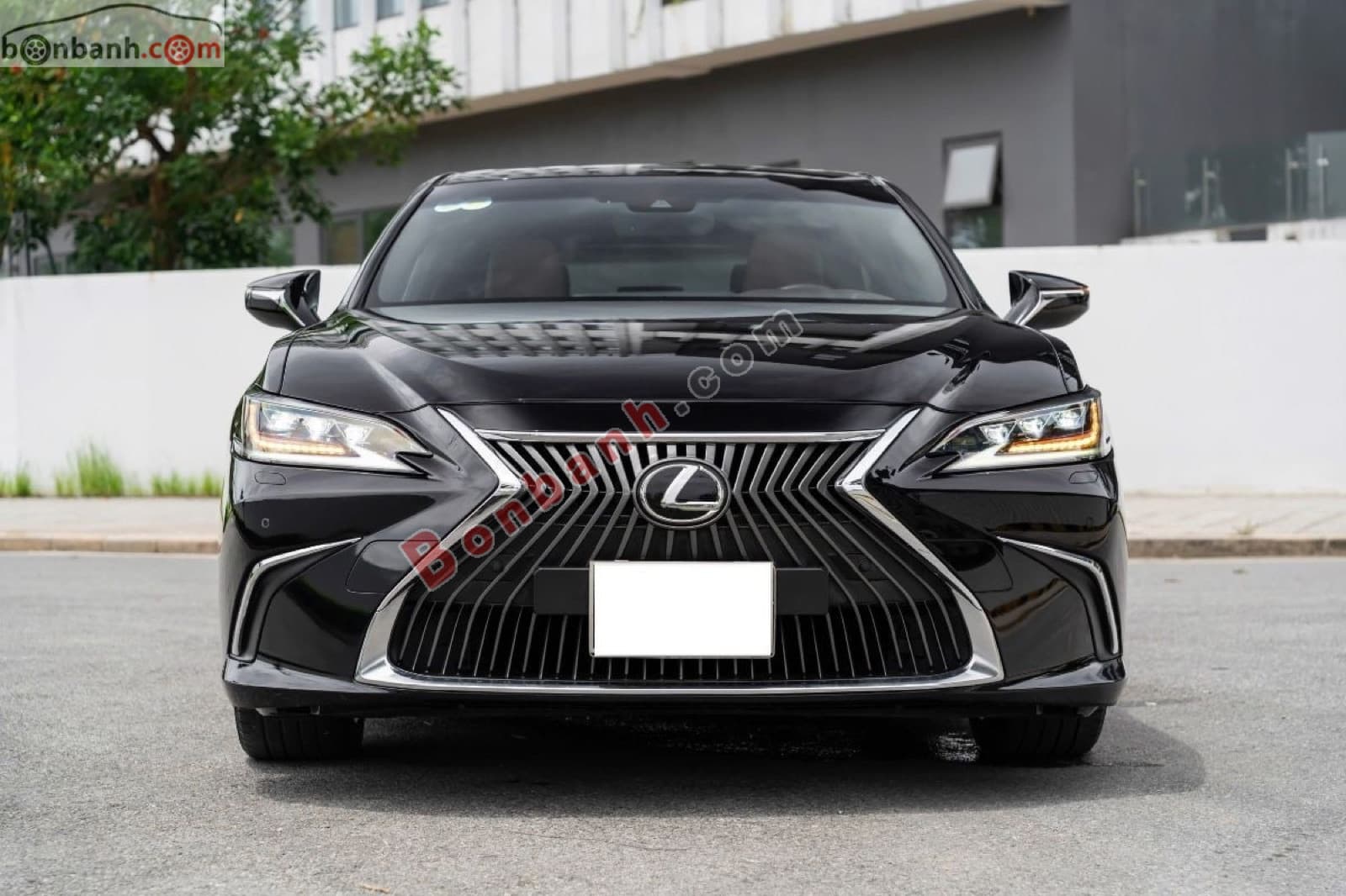 2020 Lexus ES 250